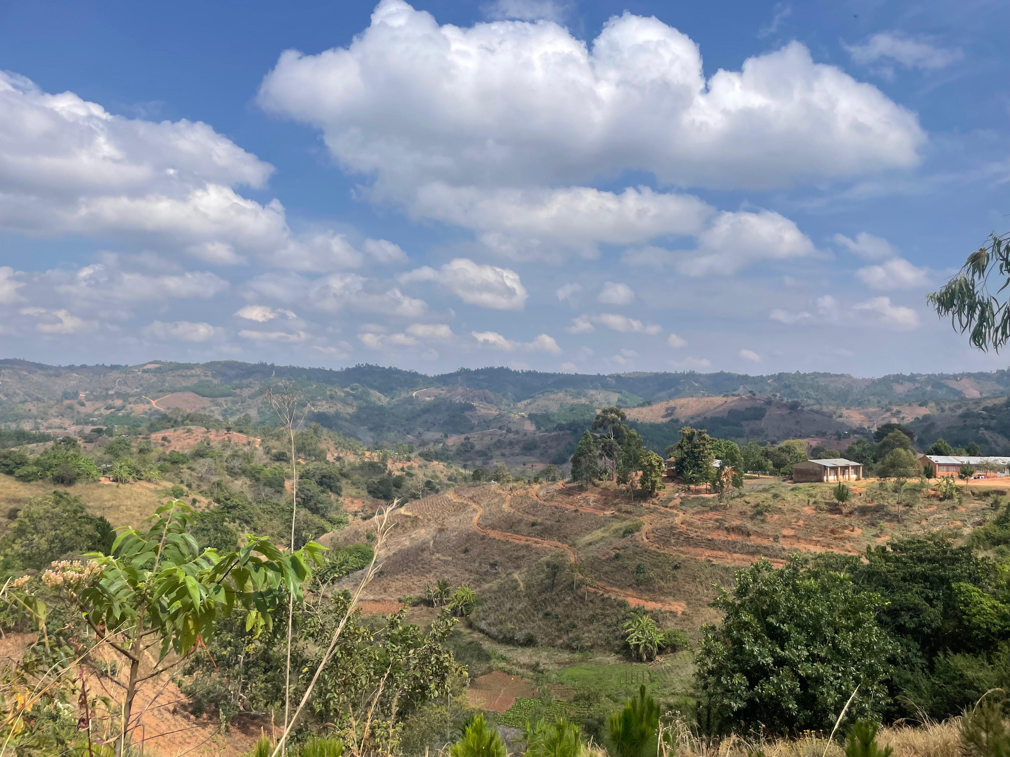 Is This the Way to Nkhotakota?