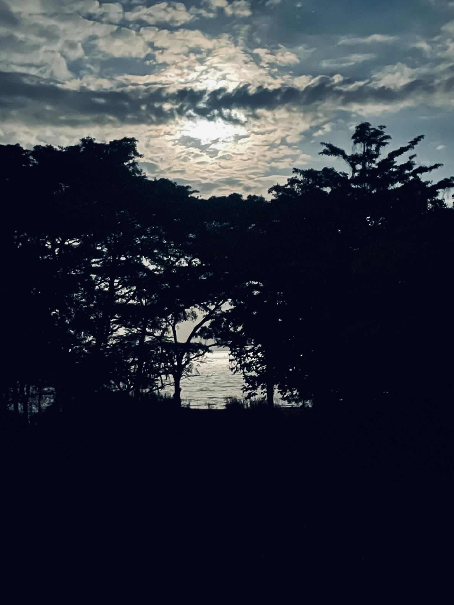 Mothers, More Lessons, Immigration Mayhem, and Moonlight